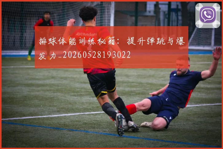 排球体能训练秘籍：提升弹跳与爆发力_20260528193022