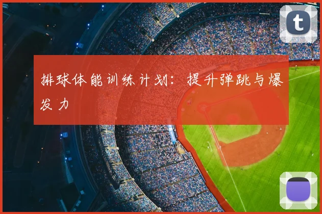 排球体能训练计划：提升弹跳与爆发力